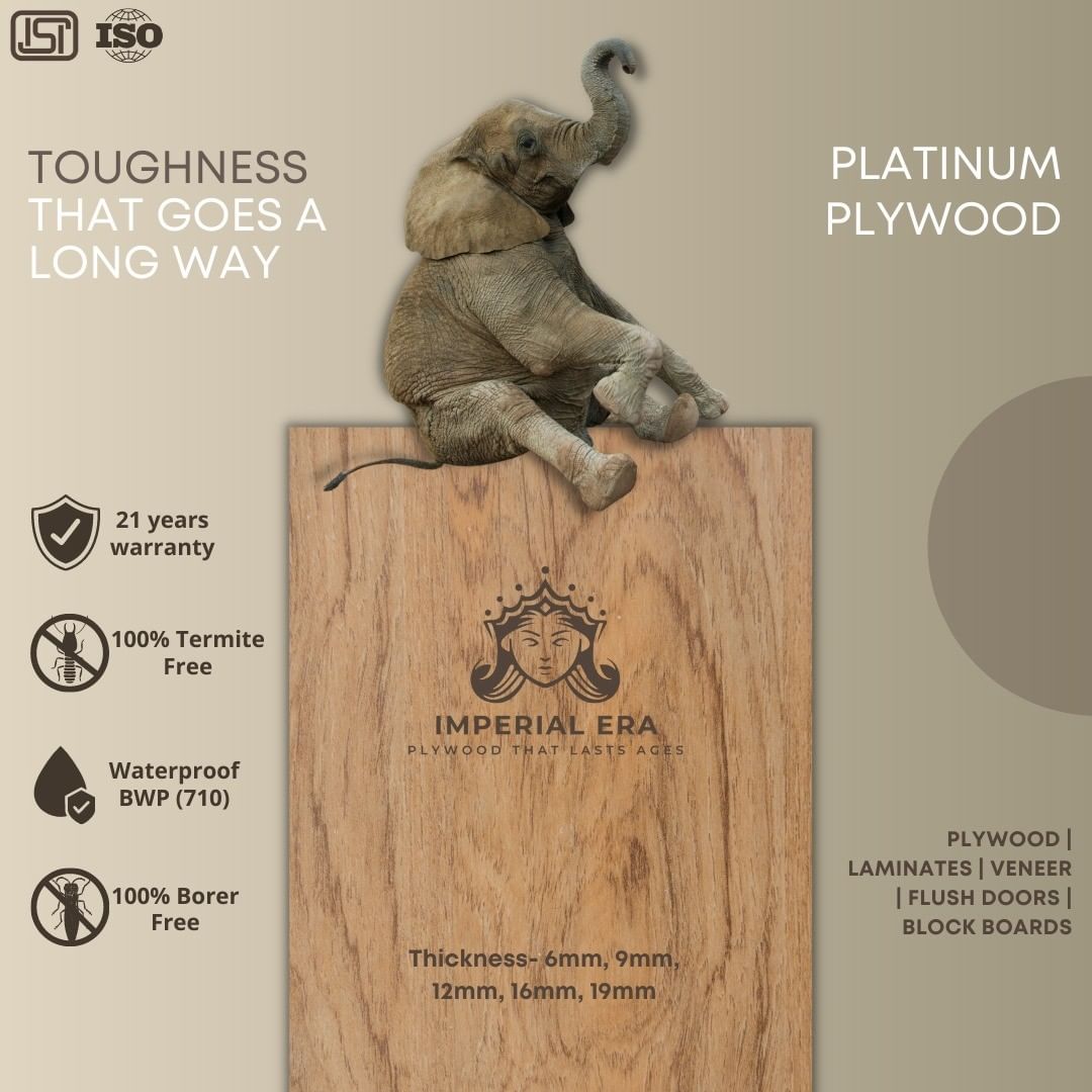 platinum plywood